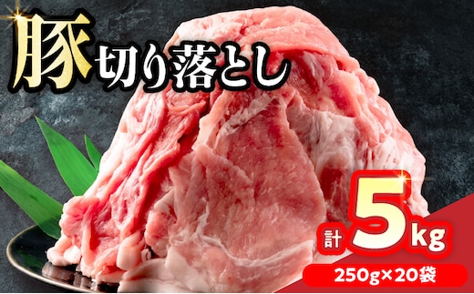 小分けで便利 豚 切り落とし 計5kg お肉 豚肉 ポーク 国産 小分け 真空パック 個包装 万能食材 おすすめ おかず 食品 炒め物 お弁当 豚丼 豚しゃぶ しゃぶしゃぶ 焼肉 お祝い 記念日 ギフト 贈り物 贈答 プレゼント おすそ分け 宮崎県 日南市 送料無料_CD61-24