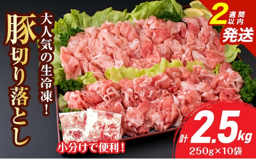 大人気 生冷凍 厳選 豚切り落とし 計2.5kg 国産 食品 豚肉 ぶた ポーク 小分け 個包装 真空パック 便利 大容量 生姜焼き 野菜炒め 豚汁 肉じゃが 豚丼 お弁当 おかず 晩ご飯 おすすめ 使い切りサイズ 万能食材 おすそ分け 宮崎県 日南市 送料無料_CV5-25-2W