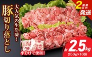 大人気 生冷凍 厳選 豚切り落とし 計2.5kg 国産 食品 豚肉 ぶた ポーク 小分け 個包装 真空パック 便利 大容量 生姜焼き 野菜炒め 豚汁 肉じゃが 豚丼 お弁当 おかず 晩ご飯 おすすめ 使い切りサイズ 万能食材 おすそ分け 宮崎県 日南市 送料無料_CV5-25-2W