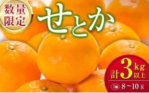 柑橘界の大トロ!! とろけるような食感!! せとか 計3kg以上 化粧箱入り 期間限定 数量限定 先行予約 2026 令和8年発送 果物 くだもの 柑橘 みかん おやつ デザート 国産 食品 おすすめ ギフト 贈り物 贈答 おすそ分け お祝い お返し 宮崎県 日南市 送料無料_D99-24