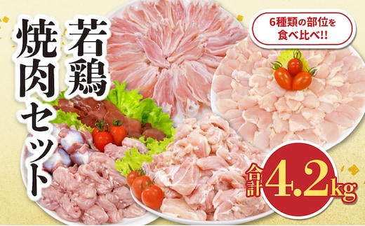 若鶏 焼肉 セット 合計4.2kg 鶏肉 国産 チキン 鶏もも肉 切身 肝 砂肝 小肉 手羽中 チキンリブ 肩肉 人気 小分け 便利 おかず お弁当 おつまみ 食品 真空パック BBQ 唐揚げ お取り寄せ おすすめ ご褒美 記念日 お祝い おすそ分け 日南市 宮崎県 送料無料_DA62-26