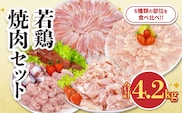 若鶏 焼肉 セット 合計4.2kg 鶏肉 国産 チキン 鶏もも肉 切身 肝 砂肝 小肉 手羽中 チキンリブ 肩肉 人気 小分け 便利 おかず お弁当 おつまみ 食品 真空パック BBQ 唐揚げ お取り寄せ おすすめ ご褒美 記念日 お祝い おすそ分け 日南市 宮崎県 送料無料_DA62-26