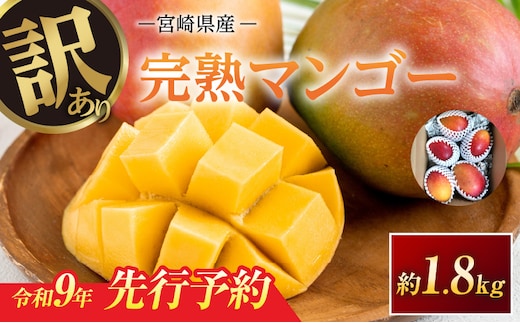 訳あり 宮崎県産 完熟マンゴー 約1.8kg 令和9年発送分 2027年 フルーツ 果物 くだもの 宮崎マンゴー 希少 濃厚 ワケアリ ご褒美 お祝い 国産 食品 おやつ デザート とろける食感 おすすめ 贈り物 贈答 ギフト プレゼント 冷蔵 選べる 日南市 送料無料_E81-26