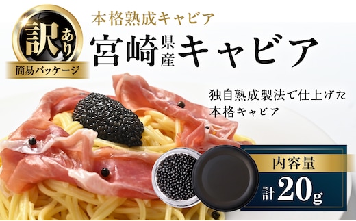 数量限定 訳あり 本格熟成キャビア 宮崎県産キャビア 20g 魚卵 魚介 魚貝 国産 食品 加工品 チョウザメ おつまみ 世界三大珍味 黒いダイヤ 水産物 贅沢 高級食材 上質 ご褒美 お祝い 記念日 フレッシュ お土産 おすすめ パーティー グルメ 冷凍 送料無料_DA59-26