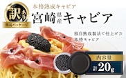 数量限定 訳あり 本格熟成キャビア 宮崎県産キャビア 20g 魚卵 魚介 魚貝 国産 食品 加工品 チョウザメ おつまみ 世界三大珍味 黒いダイヤ 水産物 贅沢 高級食材 上質 ご褒美 お祝い 記念日 フレッシュ お土産 おすすめ パーティー グルメ 冷凍 送料無料_DA59-26