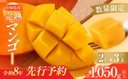 数量限定 宮崎県産 完熟マンゴー 2L×3玉 計1050g以上 期間限定 フルーツ スイーツ 果物 くだもの 食品 グルメ デザート 国産 産地直送 人気 おすすめ おやつ 高級 ご褒美 贅沢 贈り物 ギフト プレゼント 令和8年発送分 宮崎県 日南市 送料無料_DB37-25