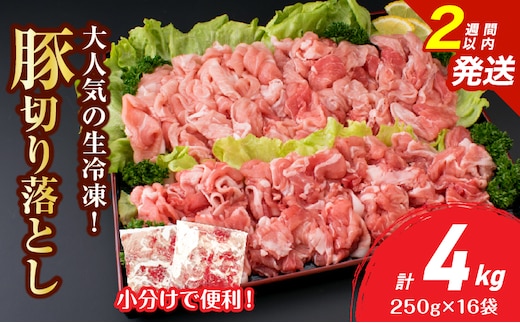 大人気 生冷凍 厳選 豚切り落とし 計4kg 国産 食品 豚肉 ぶた ポーク 小分け 個包装 真空パック 便利 大容量 生姜焼き 野菜炒め 豚汁 肉じゃが 豚丼 お弁当 おかず 晩ご飯 おすすめ 使い切りサイズ 万能食材 おすそ分け 宮崎県 日南市 送料無料_DB36-25-2W