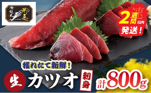獲れたて 新鮮 生カツオ刺身 計800g 魚 魚介類 海鮮 食品 国産 鰹 かつお さしみ 刺し身 赤身 急速冷凍 小分け 真空パック 個包装 ギフト 贈り物 贈答 プレゼント おすそ分け 自宅用 家庭用 おすすめ おかず おつまみ 海の幸 宮崎県 日南市 送料無料_DB52-26