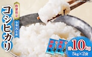 令和8年産 新米 コシヒカリ 計10kg お米 ご飯 ライス 国産 数量限定 期間限定 人気 食品 精米 白米 こしひかり 有洗米 おにぎり お弁当 炊き込みご飯 雑炊 ギフト プレゼント 贈り物 お取り寄せ 産地直送 宮崎県 日南市 送料無料_D131-26