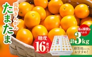 糖度16度以上 完熟 きんかん たまたま 計3kg以上 傷み補償分入り 宮崎 フルーツ 果物 くだもの ブランド 金柑 柑橘 令和9年発送 化粧箱入り 国産 食品 おすすめ ギフト 贈り物 贈答 ご褒美 お祝い おすそ分け 日南市 送料無料_DC39-26