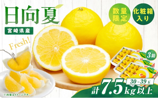 先行予約 日向夏 計7.5kg以上 化粧箱入り 期間限定 数量限定 果物 フルーツ くだもの 柑橘 みかん 令和8年発送 ジュース フルーツサンド おやつ デザート 国産 食品 おすすめ ギフト 贈り物 贈答 おすそ分け お祝い お返し 宮崎県 日南市 送料無料_E43-23