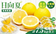 先行予約 日向夏 計7.5kg以上 化粧箱入り 期間限定 数量限定 果物 フルーツ くだもの 柑橘 みかん 令和8年発送 ジュース フルーツサンド おやつ デザート 国産 食品 おすすめ ギフト 贈り物 贈答 おすそ分け お祝い お返し 宮崎県 日南市 送料無料_E43-23