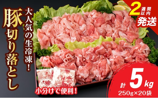 大人気 生冷凍 厳選 豚切り落とし 計5kg 国産 食品 豚肉 ぶた ポーク 小分け 個包装 真空パック 便利 大容量 生姜焼き 野菜炒め 豚汁 肉じゃが 豚丼 お弁当 おかず 晩ご飯 おすすめ 使い切りサイズ 万能食材 おすそ分け 宮崎県 日南市 送料無料_E51-25-2W