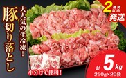 大人気 生冷凍 厳選 豚切り落とし 計5kg 国産 食品 豚肉 ぶた ポーク 小分け 個包装 真空パック 便利 大容量 生姜焼き 野菜炒め 豚汁 肉じゃが 豚丼 お弁当 おかず 晩ご飯 おすすめ 使い切りサイズ 万能食材 おすそ分け 宮崎県 日南市 送料無料_E51-25-2W