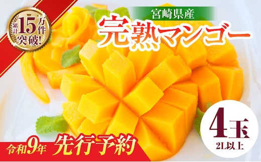 先行予約 宮崎県産 完熟 マンゴー 2L以上 4玉 令和9年発送 2027年 フルーツ 果物 くだもの 宮崎マンゴー 希少 濃厚 ご褒美 お祝い 国産 食品 おやつ デザート 産地直送 おすすめ 贈り物 贈答 ギフト プレゼント 選べる 日南市 送料無料_FB13-26