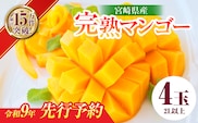 先行予約 宮崎県産 完熟 マンゴー 2L以上 4玉 令和9年発送 2027年 フルーツ 果物 くだもの 宮崎マンゴー 希少 濃厚 ご褒美 お祝い 国産 食品 おやつ デザート 産地直送 おすすめ 贈り物 贈答 ギフト プレゼント 選べる 日南市 送料無料_FB13-26