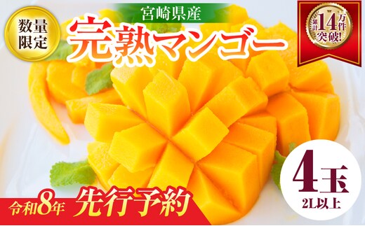 リピーター続出!!宮崎県産 完熟 マンゴー 2L以上×4玉 令和8年発送分 数量限定 フルーツ 果物 果汁 希少 濃厚 ジューシー 贅沢 上質 ご褒美 人気 国産 食品 おやつ デザート 産地直送 おすすめ ギフト プレゼント 贈り物 お土産 手土産 南国 日南市 送料無料_ED10-25