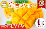 リピーター続出!!宮崎県産 完熟 マンゴー 2L以上×4玉 令和8年発送分 数量限定 フルーツ 果物 果汁 希少 濃厚 ジューシー 贅沢 上質 ご褒美 人気 国産 食品 おやつ デザート 産地直送 おすすめ ギフト プレゼント 贈り物 お土産 手土産 南国 日南市 送料無料_ED10-25