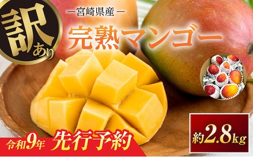 訳あり 宮崎県産 完熟マンゴー 約2.8kg 令和9年発送分 2027年 フルーツ 果物 くだもの 宮崎マンゴー 希少 濃厚 ワケアリ ご褒美 お祝い 国産 食品 おやつ デザート とろける食感 おすすめ 贈り物 贈答 ギフト プレゼント 冷蔵 選べる 日南市 送料無料_FD19-26