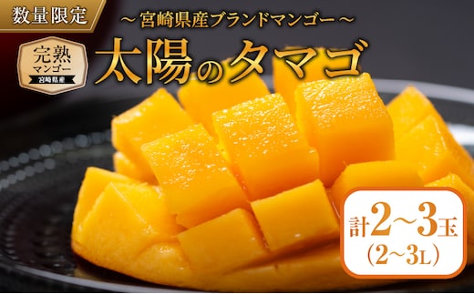 完熟マンゴー 太陽のタマゴ 2玉 ～ 3玉 期間限定 数量限定 マンゴー 宮崎 フルーツ 果物 くだもの 国産 食品 先行予約 2026 令和8年発送 濃厚 デザート おやつ おすすめ 冷蔵 ご褒美 おすそわけ 化粧箱入り ギフト プレゼント 贈り物 贈答 日南市 送料無料_FD13-25