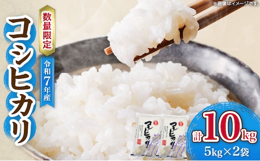 令和7年産 コシヒカリ 計10kg お米 ご飯 ライス 国産 数量限定 期間限定 人気 食品 精米 白米 こしひかり 有洗米 おにぎり お弁当 炊き込みご飯 雑炊 ギフト プレゼント 贈り物 お取り寄せ 産地直送 宮崎県 日南市 送料無料_E55-25