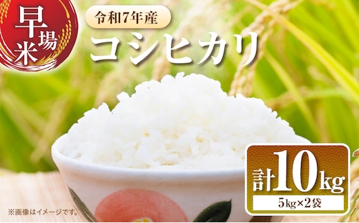 2週間以内に発送 早場米 コシヒカリ 計10kg 期間限定 日南市産 お米 ご飯 ライス 国産 令和7年産 人気 食品 精米 白米 こしひかり 有洗米 おにぎり お弁当 炊き込みご飯 雑炊 ギフト 贈り物 贈答 産地直送 宮崎県 日南市 送料無料_FA11-25