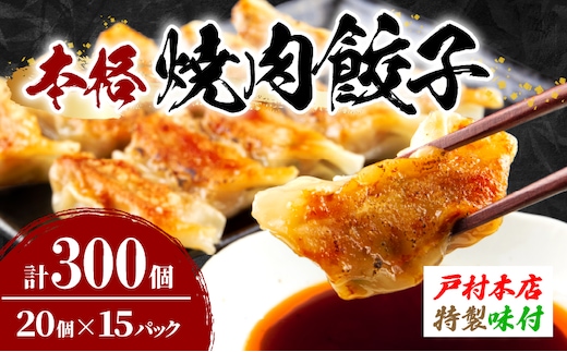 焼くだけ!! 簡単調理 焼肉餃子 20個 × 15パック 計300個 小分け 宮崎 餃子 ぎょうざ ギョーザ 加工品 国産 惣菜 戸村本店 特製餃子 自家製餃子 冷凍餃子 人気 おすすめ おかず おつまみ お弁当 おすそ分け 手土産 贈り物 ギフト プレゼント 日南市 送料無料_FC13-25