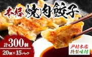 焼くだけ!! 簡単調理 焼肉餃子 20個 × 15パック 計300個 小分け 宮崎 餃子 ぎょうざ ギョーザ 加工品 国産 惣菜 戸村本店 特製餃子 自家製餃子 冷凍餃子 人気 おすすめ おかず おつまみ お弁当 おすそ分け 手土産 贈り物 ギフト プレゼント 日南市 送料無料_FC13-25