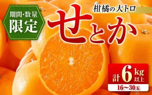 柑橘の大トロ せとか 計6kg以上 先行予約 希少 期間限定 数量限定 フルーツ 果物 くだもの 柑橘 みかん オレンジ 令和8年発送 みかんジュース フルーツサンド 国産 食品 人気 おすすめ デザート おやつ ギフト 贈り物 贈答 宮崎県 日南市 送料無料_FD7-24