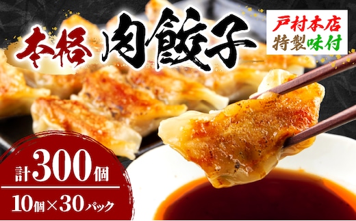 焼くだけ!!簡単調理 本格 肉 餃子 10個 × 30パック 計300個 小分け ぎょうざ ギョーザ 加工品 国産 惣菜 戸村本店 特製餃子 自家製餃子 人気 おすすめ おかず おつまみ お弁当 おすそ分け お土産 贈り物 ギフト 贈答 プレゼント 宮崎県 日南市 送料無料_FG8-25