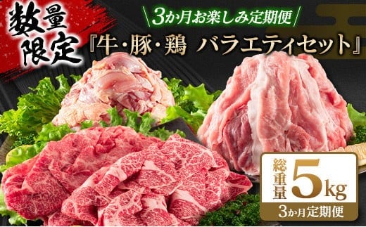 数量限定 3か月 お楽しみ 定期便 牛肉 豚肉 鶏肉 バラエティ セット 総重量5kg 宮崎牛 黒毛和牛 国産 ブランド牛 食品 おかず お弁当 おつまみ 切り落とし 切身 焼肉 からあげ お取り寄せ グルメ 小分け 真空パック おすそ分け 宮崎県 日南市 送料無料_G62-25