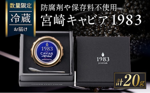 数量限定 宮崎キャビア1983 20g 魚卵 魚介 魚貝 国産 世界三大珍味 黒いダイヤ 高級食材 希少 お祝い 記念日 加工品 食品 おすすめ ギフト プレゼント 贈り物 贈答 パーティー おつまみ お取り寄せ 冷蔵 選べる 宮崎県 日南市 送料無料_GE18-26
