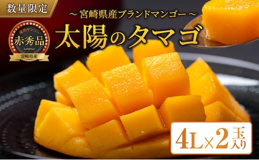 完熟マンゴー 太陽のタマゴ 赤秀品 4L × 2玉 期間限定 数量限定 マンゴー 宮崎 フルーツ 果物 くだもの 国産 食品 先行予約 2026 令和8年発送 濃厚 デザート おやつ おすすめ 冷蔵 ご褒美 贅沢 おすそわけ 化粧箱入り ギフト 贈り物 贈答 日南市 送料無料_H7-191
