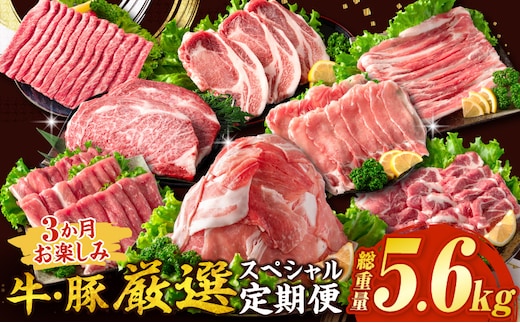 3か月 お楽しみ 牛 豚 厳選 スペシャル 定期便 総重量5.6kg 肉 牛肉 宮崎牛 肩ウデ ロースステーキ 豚肉 6種 盛り合わせ セット 豚ロース 豚バラ 小間切れ すき焼き しゃぶしゃぶ 黒毛和牛 A4 A5 和牛 国産 食品 牛丼 薄切り おすすめ ミヤチク 宮崎県産 日南市 送料無料_HE8-25