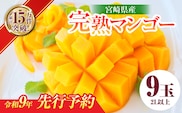 先行予約 宮崎県産 完熟 マンゴー 2L以上 9玉 令和9年発送 2027年 フルーツ 果物 くだもの 宮崎マンゴー 希少 濃厚 ご褒美 お祝い 国産 食品 おやつ デザート 産地直送 おすすめ 贈り物 贈答 ギフト プレゼント 選べる 日南市 送料無料_II1-26