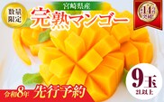 リピーター続出!!宮崎県産 完熟 マンゴー 2L以上×9玉 令和8年発送分 数量限定 フルーツ 果物 果汁 希少 濃厚 ジューシー 贅沢 上質 ご褒美 人気 国産 食品 おやつ デザート 産地直送 おすすめ ギフト プレゼント 贈り物 お土産 手土産 南国 日南市 送料無料_IE5-25