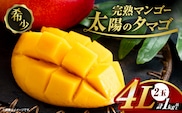 完熟マンゴー 太陽のタマゴ 4L × 2玉 期間限定 数量限定 宮崎 マンゴー フルーツ 果物 くだもの 国産 食品 ブランドマンゴー 糖度15度以上 希少 濃厚 デザート おすすめ 冷蔵 ご褒美 贅沢 おすそわけ 化粧箱入り ギフト 贈り物 贈答 日南市 送料無料_IG5-25