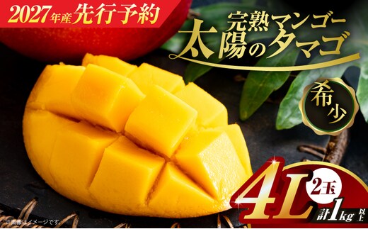 先行予約 完熟マンゴー 太陽のタマゴ 4L × 2玉 2027年産 期間限定 数量限定 宮崎 マンゴー フルーツ 果物 くだもの 国産 食品 ブランドマンゴー 糖度15度以上 希少 濃厚 デザート おすすめ 冷蔵 ご褒美 贅沢 おすそわけ 化粧箱入り ギフト 贈り物 贈答 日南市 送料無料_IG5-25