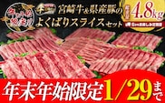 年末年始限定 6か月 お楽しみ 定期便 宮崎牛 ＆ 県産豚 よくばり スライス セット 総重量4.8kg 肉 牛肉 豚肉 国産 6回 すき焼き しゃぶしゃぶ 牛丼 黒毛和牛 和牛 モモ ウデ 牛バラ 豚ロース ブランド牛 おすすめ おかず お弁当 宮崎県 日南市 送料無料_JG3-24