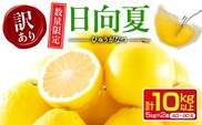 先行予約 訳あり 日向夏 計10kg以上 期間限定 数量限定 果物 フルーツ くだもの 柑橘 みかん 令和8年発送 ジュース フルーツサンド おやつ デザート 国産 食品 おすすめ バラ詰め おすそ分け ご家庭用 手土産 宮崎県 日南市 送料無料_D114-25