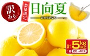 先行予約 訳あり 日向夏 計5kg以上 期間限定 数量限定 果物 フルーツ くだもの 柑橘 みかん 令和8年発送 ジュース フルーツサンド おやつ デザート 国産 食品 おすすめ バラ詰め おすそ分け ご家庭用 手土産 宮崎県 日南市 送料無料_BB98-23