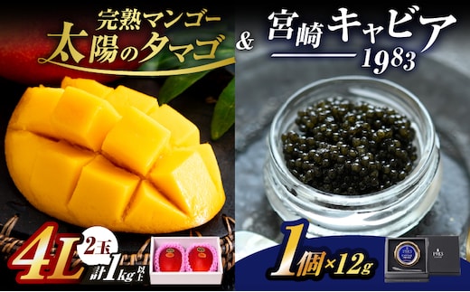 完熟マンゴー 太陽のタマゴ (4L×2玉) ＆ 宮崎キャビア1983 1個 期間限定 数量限定 宮崎 マンゴー フルーツ 果物 くだもの キャビア 魚介 魚卵 詰め合わせ 国産 食品 希少 デザート おすすめ 冷蔵 ご褒美 贅沢 選べる ギフト 贈り物 日南市 送料無料_LF1-25