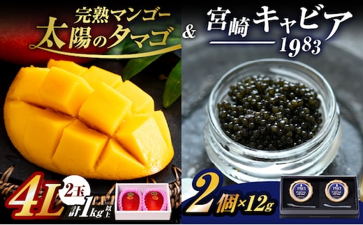 完熟マンゴー 太陽のタマゴ (4L×2玉) ＆ 宮崎キャビア1983 2個 期間限定 数量限定 宮崎 マンゴー フルーツ 果物 くだもの キャビア 魚介 魚卵 詰め合わせ 国産 食品 希少 デザート おすすめ 冷蔵 ご褒美 贅沢 選べる ギフト 贈り物 日南市 送料無料_NG1-25