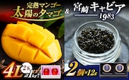 完熟マンゴー 太陽のタマゴ (4L×2玉) ＆ 宮崎キャビア1983 2個 期間限定 数量限定 宮崎 マンゴー フルーツ 果物 くだもの キャビア 魚介 魚卵 詰め合わせ 国産 食品 希少 デザート おすすめ 冷蔵 ご褒美 贅沢 選べる ギフト 贈り物 日南市 送料無料_NG1-25
