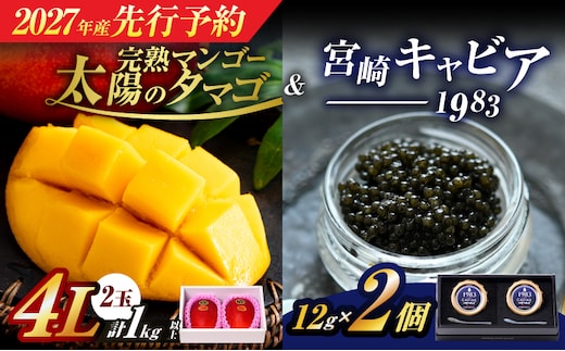 先行予約 完熟マンゴー 太陽のタマゴ (4L×2玉) ＆ 宮崎キャビア1983 2個 2027年産 期間限定 数量限定 宮崎 マンゴー フルーツ 果物 くだもの キャビア 魚介 魚卵 詰め合わせ 国産 食品 希少 デザート おすすめ 冷蔵 ご褒美 贅沢 選べる ギフト 贈り物 日南市 送料無料_NG1-25