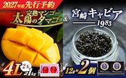 先行予約 完熟マンゴー 太陽のタマゴ (4L×2玉) ＆ 宮崎キャビア1983 2個 2027年産 期間限定 数量限定 宮崎 マンゴー フルーツ 果物 くだもの キャビア 魚介 魚卵 詰め合わせ 国産 食品 希少 デザート おすすめ 冷蔵 ご褒美 贅沢 選べる ギフト 贈り物 日南市 送料無料_NG1-25