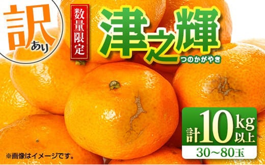 先行予約 訳あり 津之輝 つのかがやき 10kg以上 (5kg×2箱) 希少 期間限定 数量限定 フルーツ 果物 くだもの 柑橘 みかん 令和8年発送 国産 食品 おすすめ デザート おやつ みかんジュース フルーツサンド ご家庭用 おすそ分け 宮崎県 日南市 送料無料_D74-23