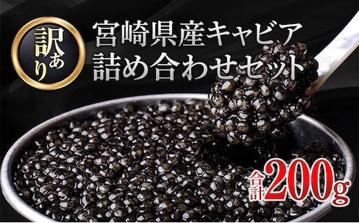 訳あり 5つ星ホテル採用 宮崎県産 キャビア 詰め合わせ セット 合計200g 魚卵 魚介 魚貝 国産 熟成 新鮮 希少 食品 三大珍味 黒いダイヤ おすすめ 水産物 おつまみ ご褒美 お祝い 記念日 パーティー 日南市 送料無料_XF1-25