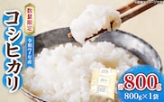 令和7年産 コシヒカリ 計800g お米 ご飯 ライス 国産 数量限定 人気 食品 精米 白米 こしひかり 有洗米 おにぎり お弁当 炊き込みご飯 雑炊 ギフト プレゼント 贈り物 お取り寄せ 産地直送 宮崎県 日南市 送料無料_ZVV2-25