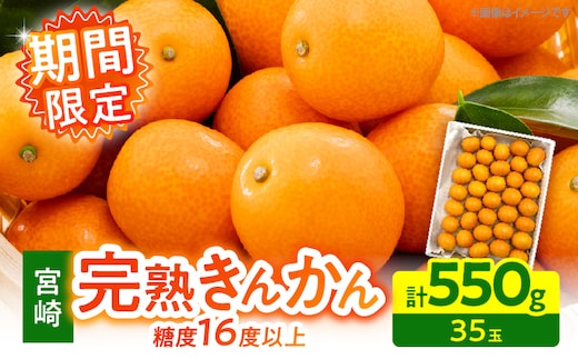 【1週間以内発送】ゴトウさんの 宮崎 完熟 きんかん 約550g(計35玉) 期間限定 フルーツ 果物 くだもの 金柑 柑橘 青果 キンカン 国産 食品 人気 おすすめ ギフト 贈り物 贈答 おすそ分け お礼 新鮮 産地直送 高糖度 甘い 選べる 宮崎県 日南市 送料無料_ZW2-25